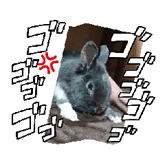 yamage-japan_20260409193622