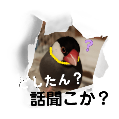 Hibiki_20260409192235