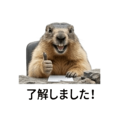 chan22_20260409192459