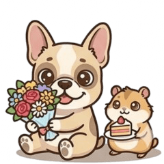 Cute French Bulldog 426M & Hamumaru24
