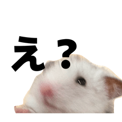 JUNKA_20260409202044