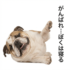 Bulldog Honne 2 - Greetings