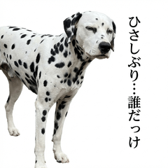 Dalmatian Honne 2 - Greetings