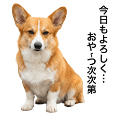Corgi Honne 2 - Greetings