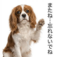 Cavalier Honne 2 - Greetings