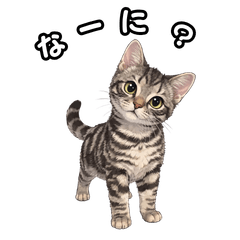 American Shorthair Kitten Stickers