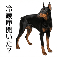 DobermanHonne 3 - Gourmet