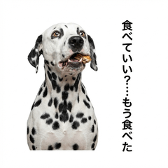 DalmatianHonne 3 - Gourmet