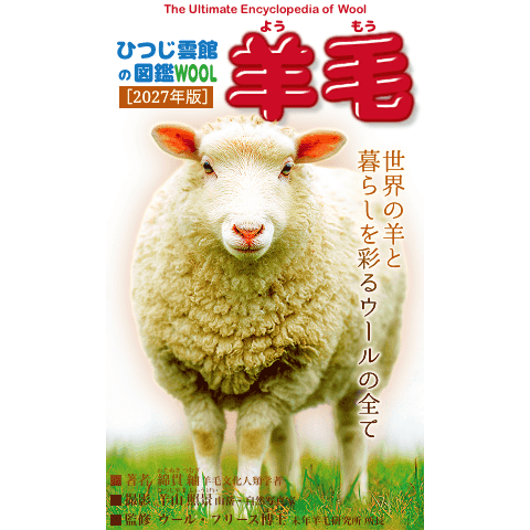 2027年虛構羊毛百科全書 PP