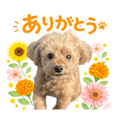 Korosuke's Daily Stickers Vol.1