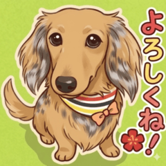 Yamato Miniature Dachshund Sticker(ver2)