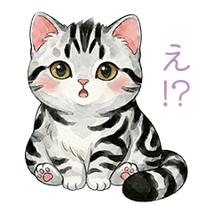 American ShorthairLOVECUTE