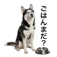 HuskyHonne 3 - Gourmet