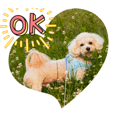 S. ISHIKAWA_20260409174442