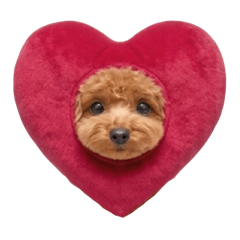 mataro_20260409174711