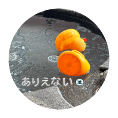 PORE._20260409210222