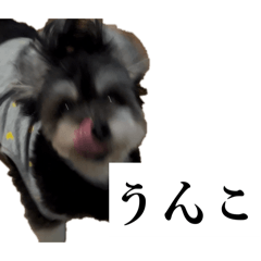 ra-mennnya_20260409210327