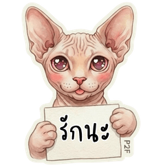 Sphynx Cat Emotion by Pet2Fun (TH)