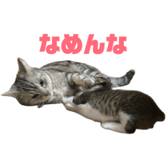 LeoKoni_20260409210641