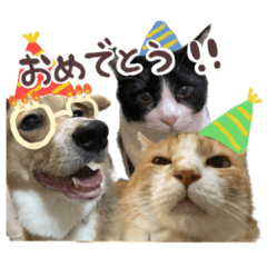 Unichos_20260409210705