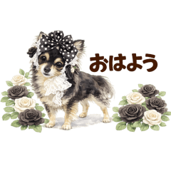 song june_20260409154333