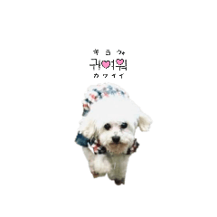 himawari_20260409164745