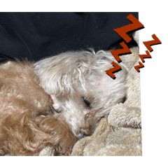 taaakkkeee_20260409184217