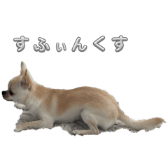 kazun_20260409215310