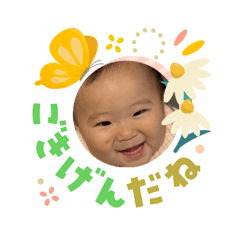 aoaoi_20260409215511