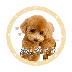 nonnoon_20260409215204