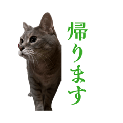 beruberu_20260409184758