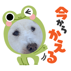 kunchan_20260409215400