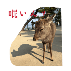 taisuke24_20260409154715