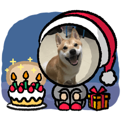 咪嚕可愛表情篇