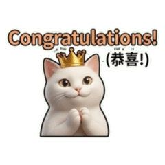 May的超萌喵喵系列一