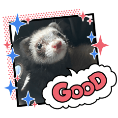 dokanemu_20260409225736