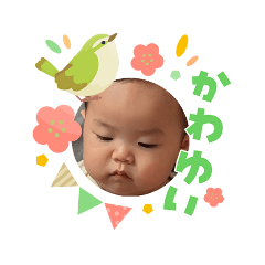 kanken_20260409172521