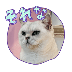 erika_202604092318512525