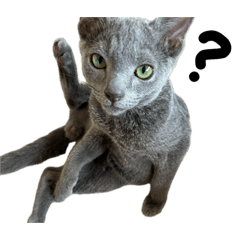 yuyuyu_20260409232230