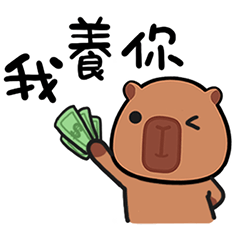 可愛寶貝卡比巴拉/水豚/日常2