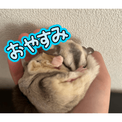 Matsunet...37_20260410000021