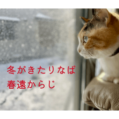 Rentae_20260410000343