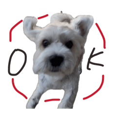 swcarne_20260410000848