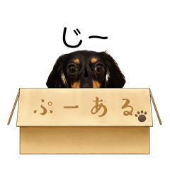 cocco_20260410000622