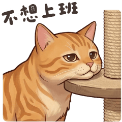 小萌橘貓的日常生活