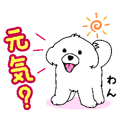 shige_20260410124138