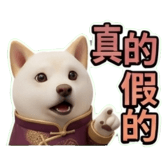 萌犬多多工作日常3