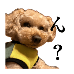 coron_20260410014507