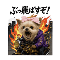 mimi&coco_20260409175125