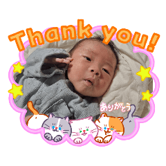 sally.y_20260410020011